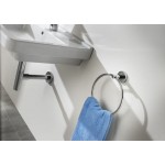 Держатель для полотенец Roca Twin 816711001 Держатель для полотенец Roca Twin 816711001